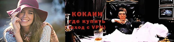 мяу мяу мука Горняк