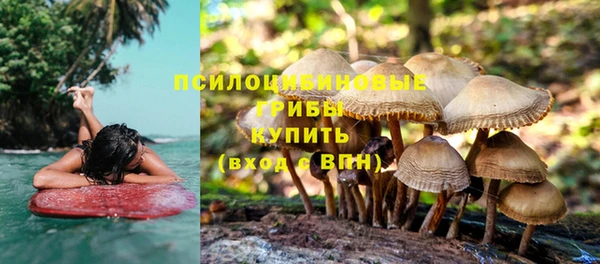 гашишное масло Вяземский
