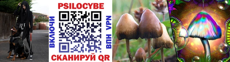 Галлюциногенные грибы ЛСД  Купить где  Белая Холуница 