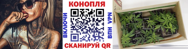 Купить закладки  Белая Холуница  Марихуана тримм 